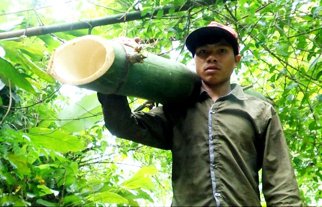 Mở[-]tour[-]du[-]lịch[-]miễn[-]phí[-]đến[-]vùng[-]sâm[-]Ngọc[-]Linh
